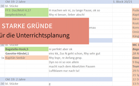 Warum Instrumentalunterricht planen?