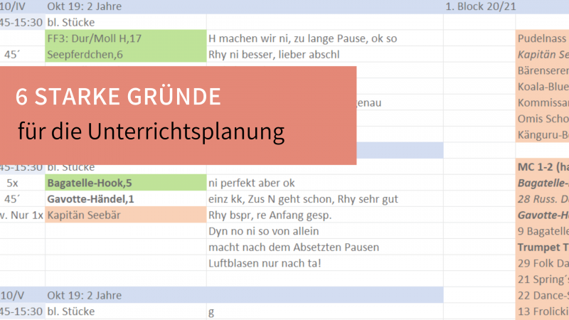 Warum Instrumentalunterricht planen?